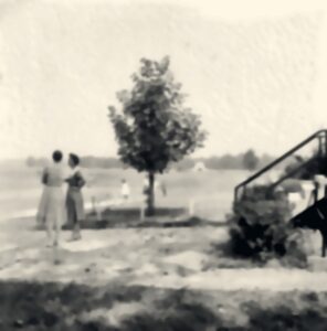 Two teachers stand near a young tree on the open campus